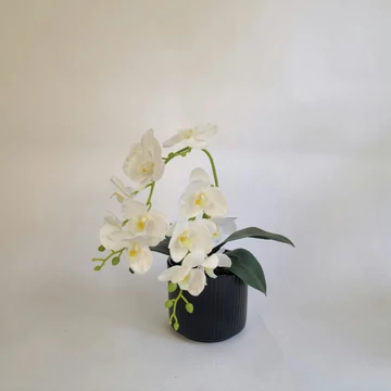 Fehér orchidea műnövény fekete kaspóban, hajlított ágas, mulccsal díszítve 