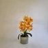 Kép 1/2 - Narancssárga orchidea műnövény zöld kaspóban, mulccsal díszítve 