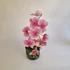Kép 1/3 - Rózsaszín orchidea műnövény fekete kaspóban, hajlított ágas, mulccsal díszítve 